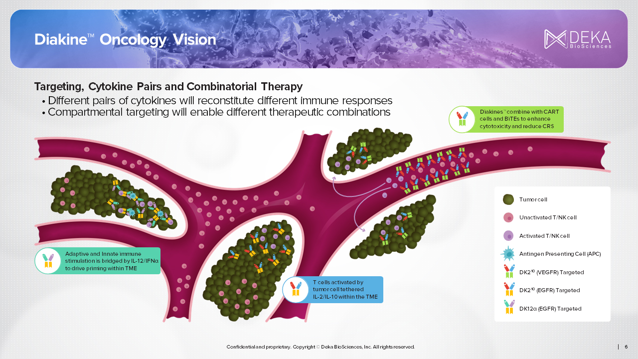 Targeted Cytokine Delivery presentation slide